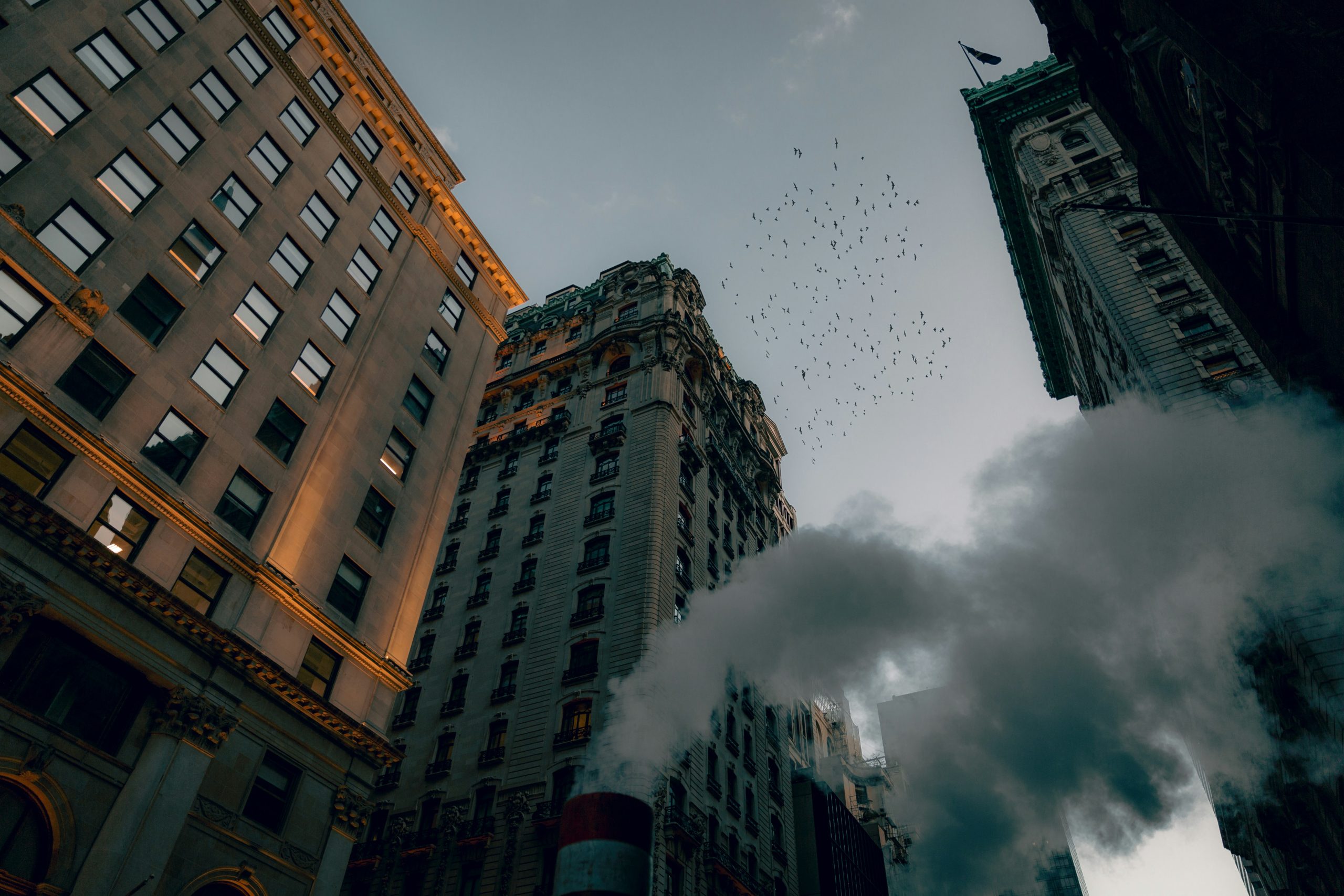 jorik-kleen-DBIdEO0sEfQ-unsplash
